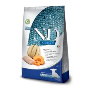 ND אושן דלעת מלון גורים מיני 2.5 ק"ג
